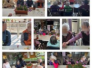 25.11.24 원예치료