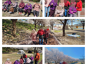 26.04.07 요양3팀 벚꽃길 나들이