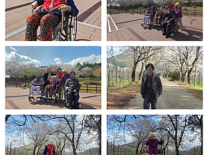 26.04.10 요양2팀 벚꽃길 나들이