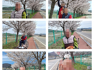 26.04.12 요양1팀 벚꽃길 나들이